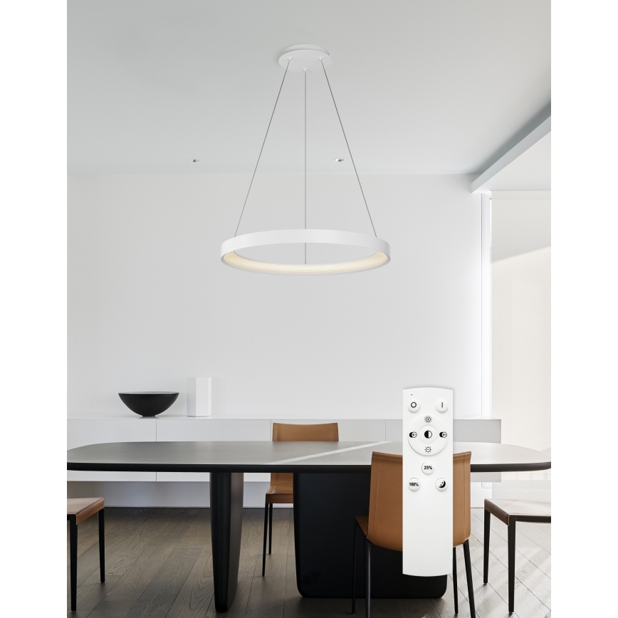Top Light - LED Zatemnitveni lestenec na vrvici ORBIT LED/40W/230V 3000-6500K pr. 50 cm bela + Daljinski upravljalnik