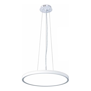 Top Light - LED Zatemnitveni lestenec na vrvici REVIT LED/36W/230V 3000-6500K pr. 40 cm bela + Daljinski upravljalnik