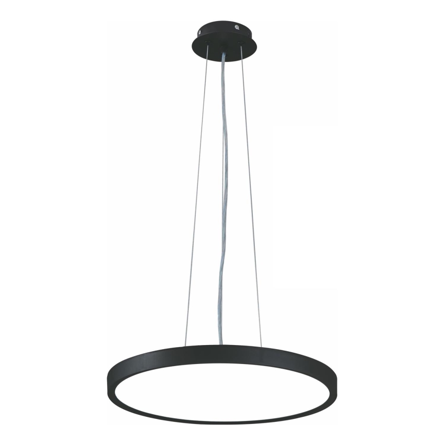 Top Light - LED Zatemnitveni lestenec na vrvici REVIT LED/36W/230V 3000-6500K pr. 40 cm črna + Daljinski upravljalnik