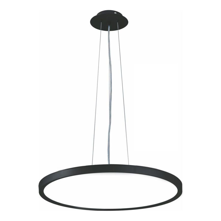 Top Light - LED Zatemnitveni lestenec na vrvici REVIT LED/50W/230V 3000-6500K pr. 60 cm črna + Daljinski upravljalnik