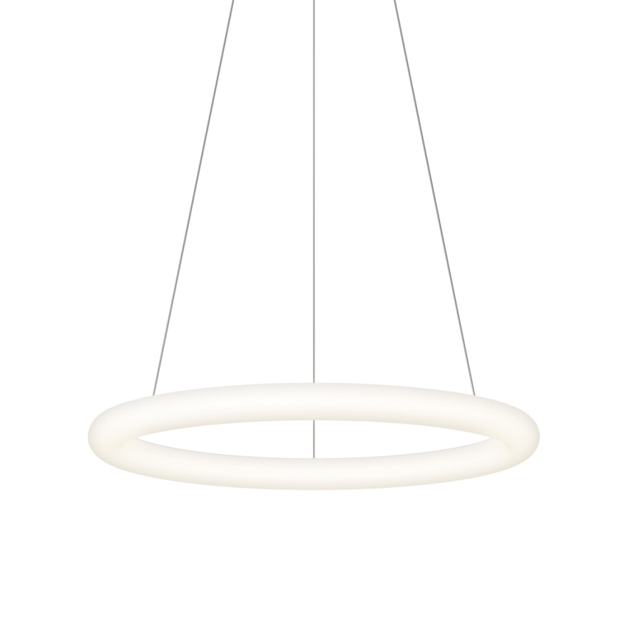 Top Light - LED zatemljiv lestenec na kablu RINGO LED/40W/230V 3000-6500K bela + daljinski upravljalnik