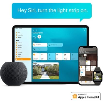 TP-Link - LED RGBW zatemljiv trak 5 m LED/13W/230V Wi-Fi