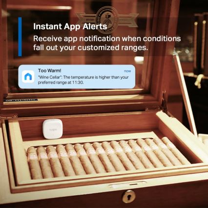 TP-Link - Pametni senzor za merjenje temperature in vlažnosti 1xCR2450