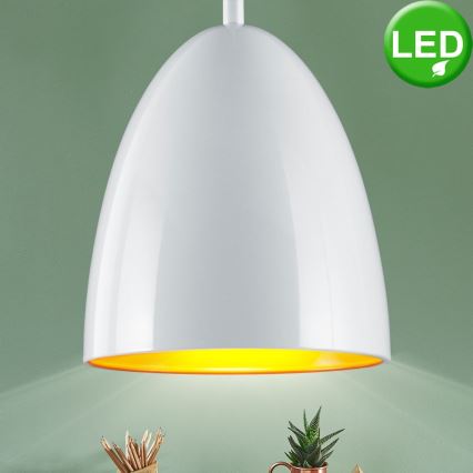 TRIO - LED Lestenec na vrvici COB LED/6,5W/230V