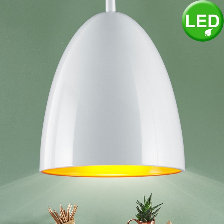 TRIO - LED Lestenec na vrvici COB LED/6,5W/230V