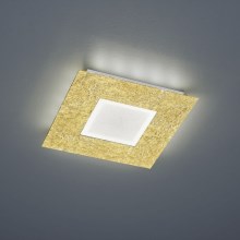 Trio - LED Stropna svetilka CHIROS LED/12W/230V + LED/3,5W
