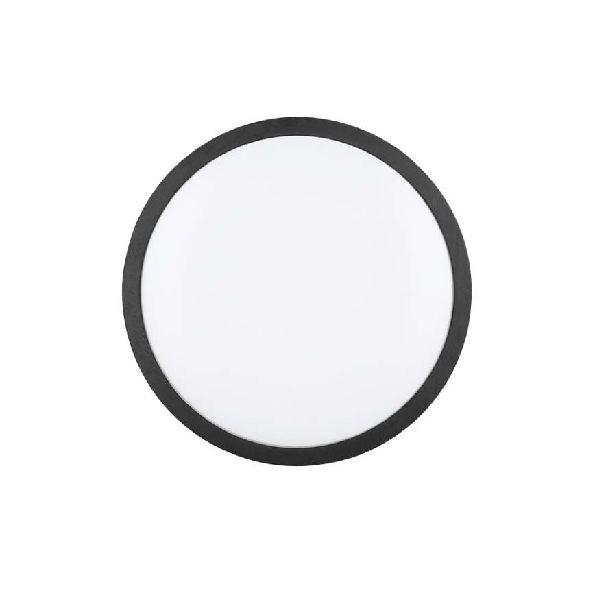 Trio - LED stropna svetilka ISEO z možnostjo zatemnitve LED/24W/230V 3000K premer 40 cm črna