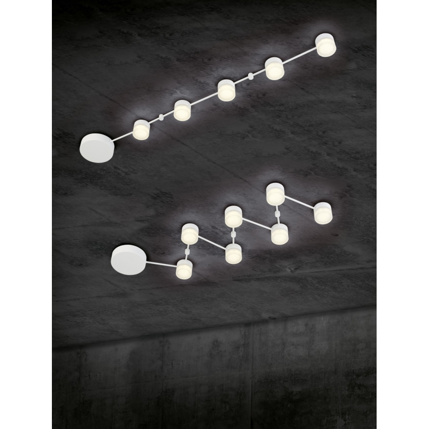 Trio - LED Zatemnitvena stropna svetilka NASHVILLE 5xLED/3W/230V