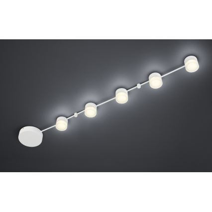 Trio - LED Zatemnitvena stropna svetilka NASHVILLE 5xLED/3W/230V