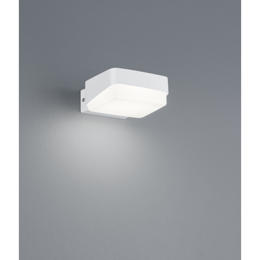 Trio - LED Zunanja stenska svetilka JUBA LED/10W/230V IP65
