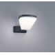 TRIO - LED Zunanja stenska svetilka VOLTURNO LED/5,5W/230V IP54