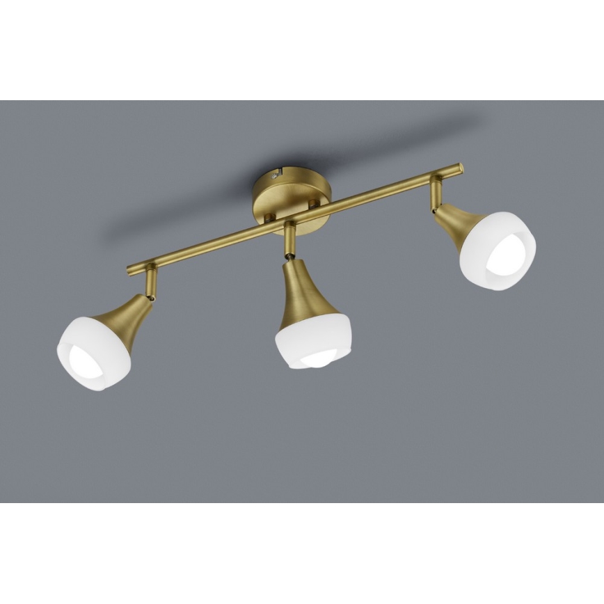 TRIO - Reflektor TRUMPET 3xE14/40W/230V