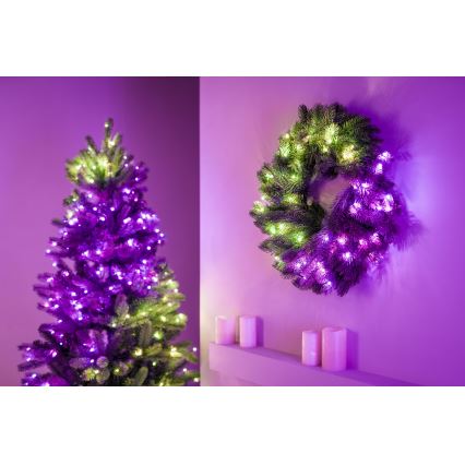 Twinkly - LED RGB Zatemnitveni božični venec 50xLED pr. 60 cm Wi-Fi