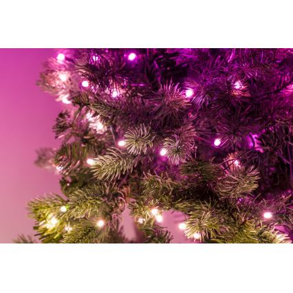 Twinkly - LED RGB Zatemnitveni božični venec 50xLED pr. 60 cm Wi-Fi