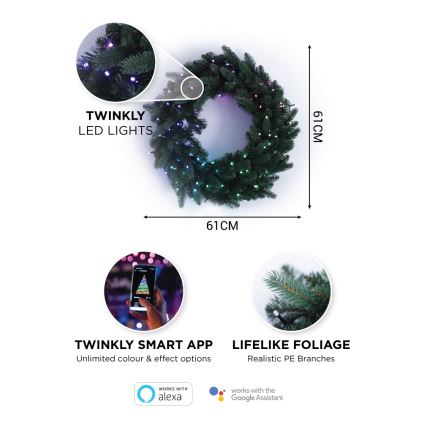 Twinkly - LED RGB Zatemnitven Božični venec PRE-LIT WREATH 50xLED pr. 61cm Wi-Fi