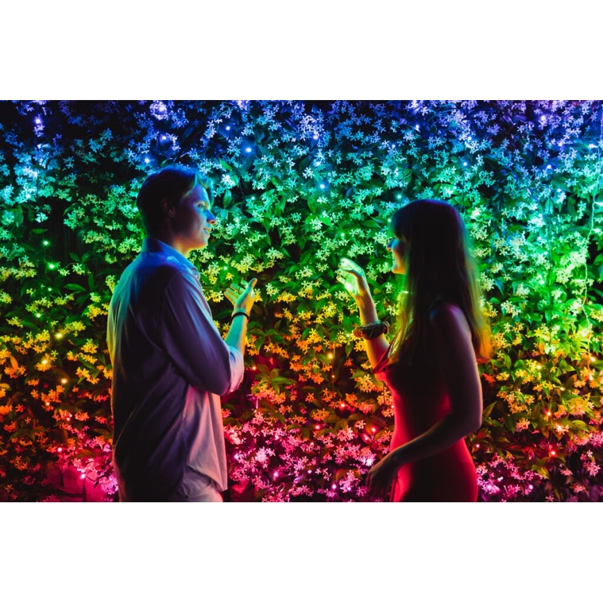 Twinkly - LED RGB Zatemnitvena zunanja božična veriga STRINGS 250xLED 23,5m IP44 Wi-Fi