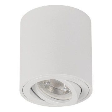 Usmerjena svetilka BORD ONE 1xGU10/10W/230V bela