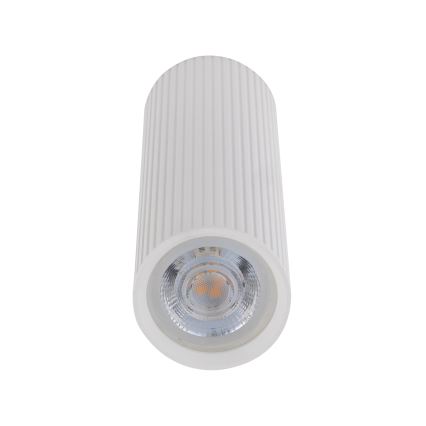 Usmerjeno svetilo TUNE M 1xGU10/10W/230V 17 cm belo