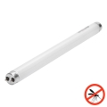 UV fluorescenčna cev za lovilnik žuželk G13/10W/230V 36,5 cm - BRILAGI