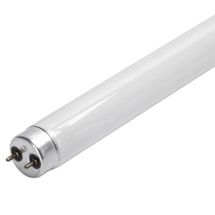 UV fluorescenčna cev za lovilnik žuželk G13/10W/230V 36,5 cm - BRILAGI