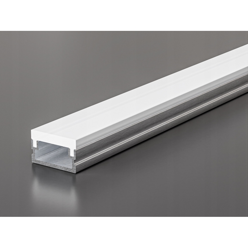 Vgradni profil za LED trakove 1 m srebrna/bela
