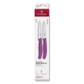 Victorinox - Komplet kuhinjskih nožev za zelenjavo SWISS CLASSIC 10 cm 2 kosa vijoličen
