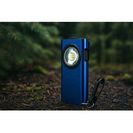 Viking - LED zatemnjevalna polnilna svetilka LED/5V IPX3 500 lm 500 mAh