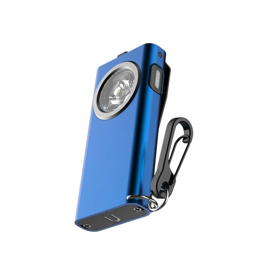 Viking - LED zatemnjevalna polnilna svetilka LED/5V IPX3 500 lm 500 mAh