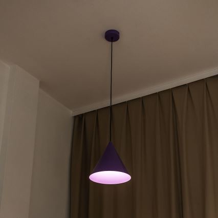 Viseča svetilka na kabelu ETNA 1xE27/15W/230V, premer 25 cm, vijolična