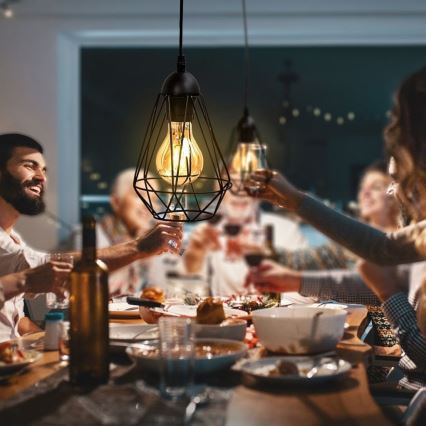 Viseča svetilka na kablu 1xE27/40W/230V, črna