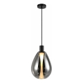 Viseča svetilka na kablu DENSO 1xG9/5W/230V Ø 20 cm črni krom