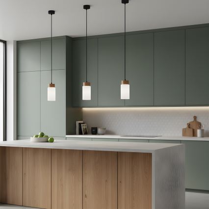 Viseča svetilka na kablu MARKUS 1xE27/15W/230V črna/hrast