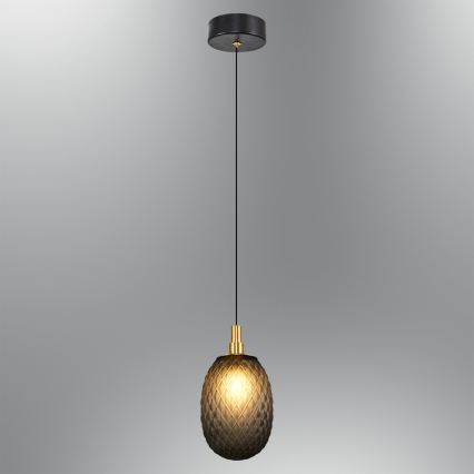 Viseči lestenec na kablu CACTUS 1xG9/5W/230V črn