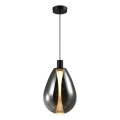 Viseči lestenec na kablu DENSO 1xGU10/10W/230V, premer 30 cm, črni krom