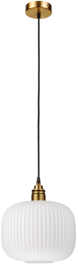 Viseči lestenec na vrvici HECTOR 1xE27/15W/230V, premer 25 cm