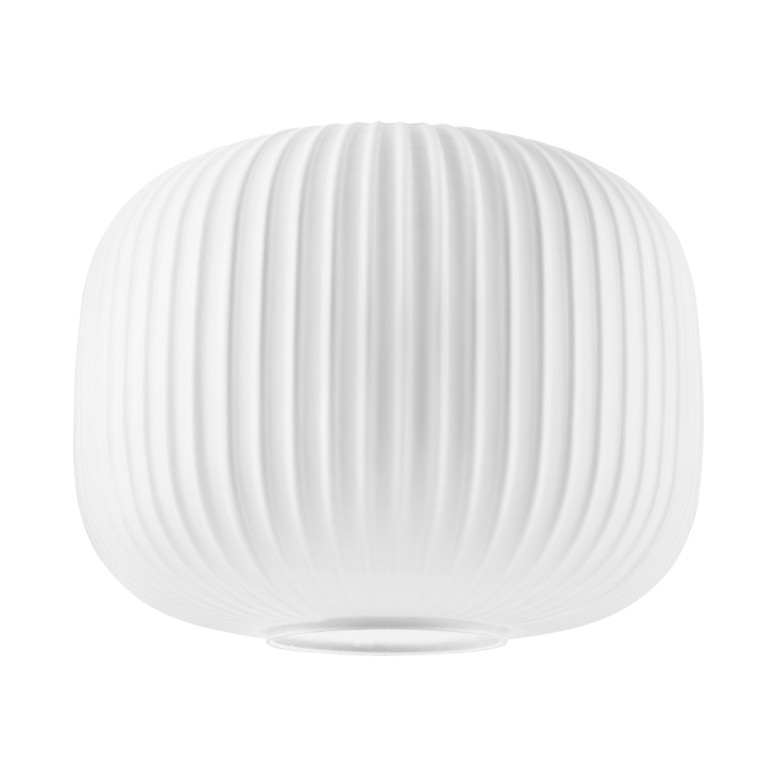 Viseči lestenec na vrvici HECTOR 1xE27/15W/230V, premer 25 cm