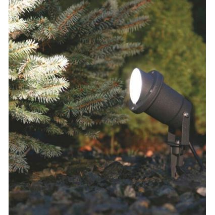 Vrtni reflektor 1xGU10/35W/230V IP65