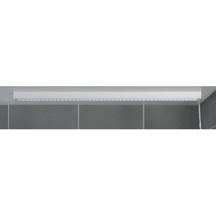 WENKO 23864100 - roleta za prho 132x240 cm bela