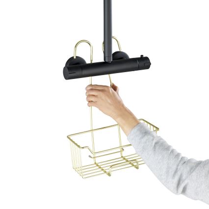WENKO 25937100 - Koš za tuš MILO 25x36 cm nerjaveče jeklo/zlata/prozorna