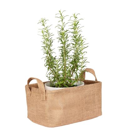 WENKO 64471100 - Koš JUNA 24x17 cm rjava