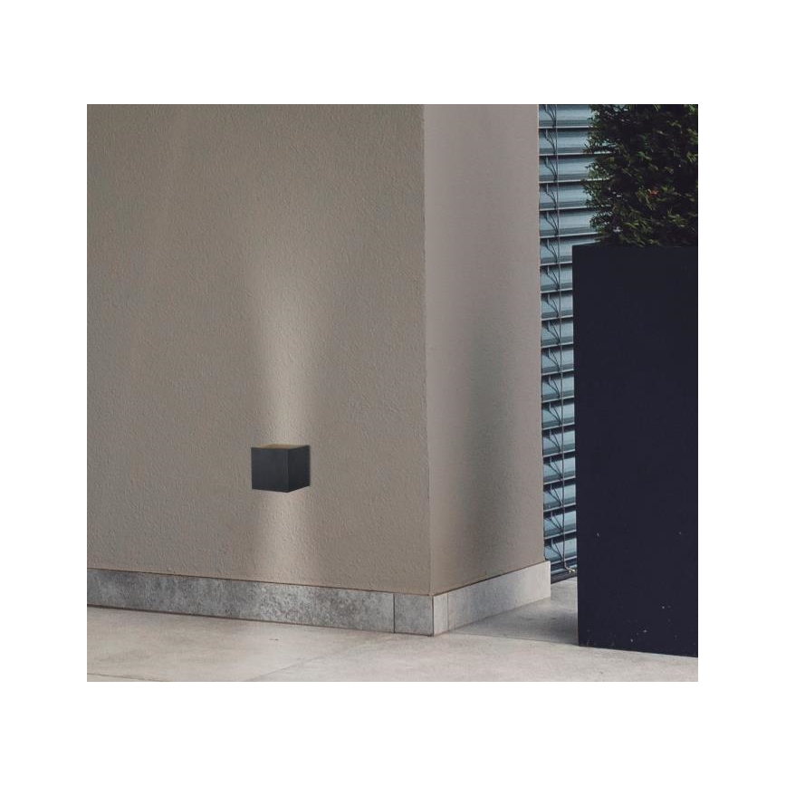 Westinghouse 61149 - LED Zunanja stenska svetilka FREYA 2xLED/4,5W/230V IP44 črna