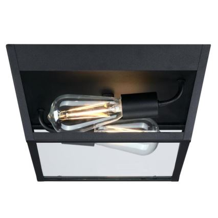 Westinghouse 61219 - Zunanja stropna svetilka PETERSON 2xE27/40W/230V IP44