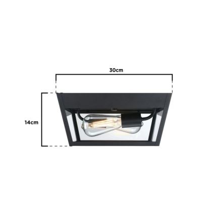 Westinghouse 61219 - Zunanja stropna svetilka PETERSON 2xE27/40W/230V IP44