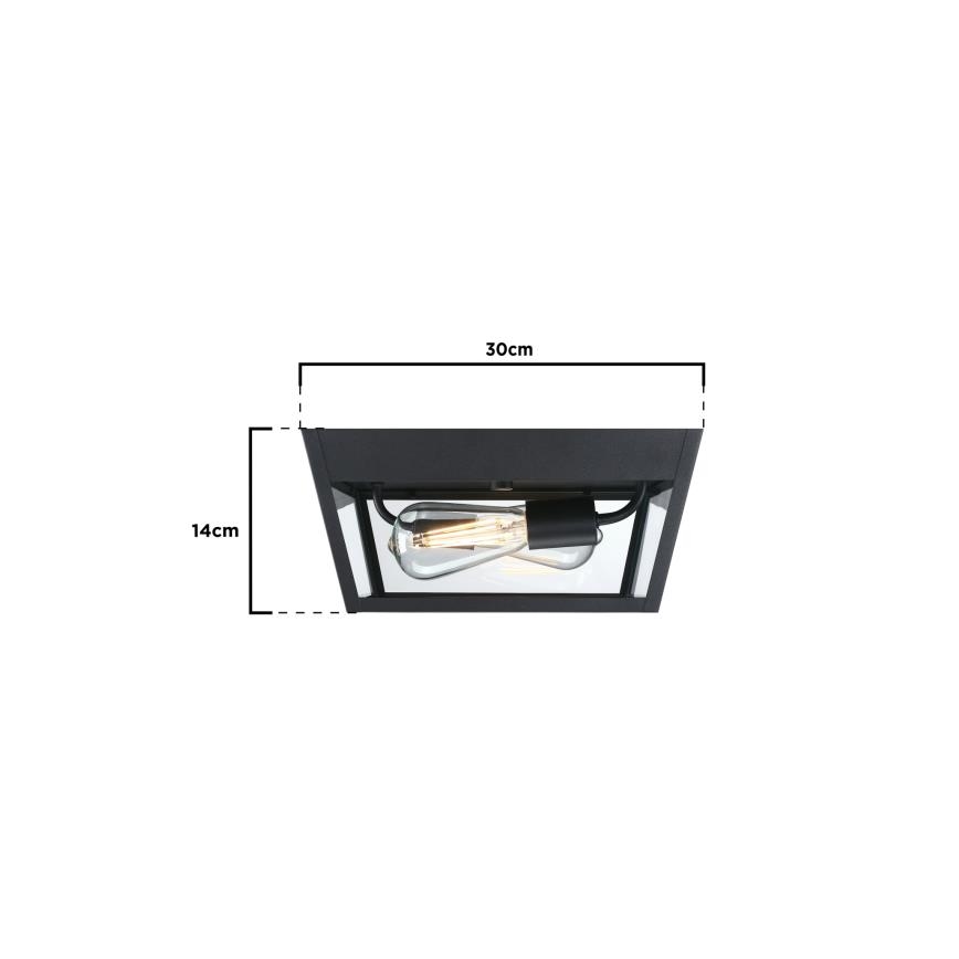 Westinghouse 61219 - Zunanja stropna svetilka PETERSON 2xE27/40W/230V IP44