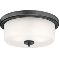 Westinghouse 6325140 - Stropno svetilo CEDRIC 2xE27/40W/230V premer 33 cm
