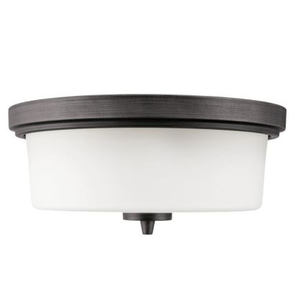 Westinghouse 6325140 - Stropno svetilo CEDRIC 2xE27/40W/230V premer 33 cm