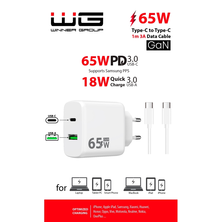 Winner Group - Adapter za hitro polnjenje 2xUSB PD 65W + USB kabel USB-C / USB-C 1m