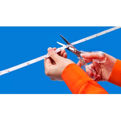 WiZ - LED RGBIC zatemljiv trak 4m LED/10,2W/5V 2700-6500K Wi-Fi