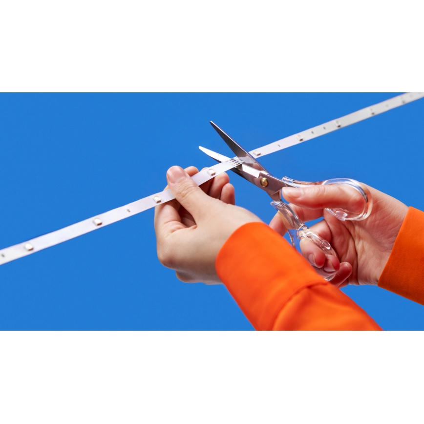 WiZ - LED RGBW zatemljiv trak 4m LED/6,5/230V 2700-6500K Wi-Fi