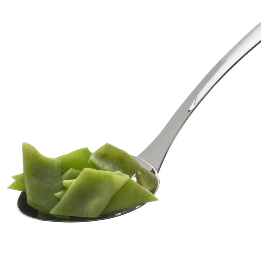 WMF - servirna žlica PROFI PLUS iz nerjavečega jekla